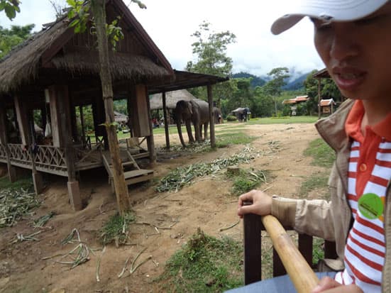 Cycling Tour of Luang Prabang Countryside